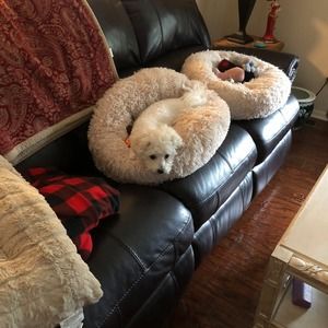 Meet your Posher, Glenda